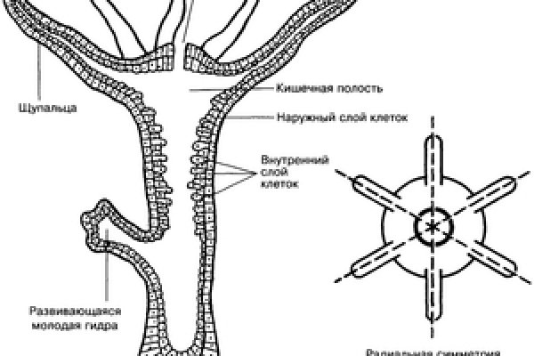 Кракен ссылка kraken